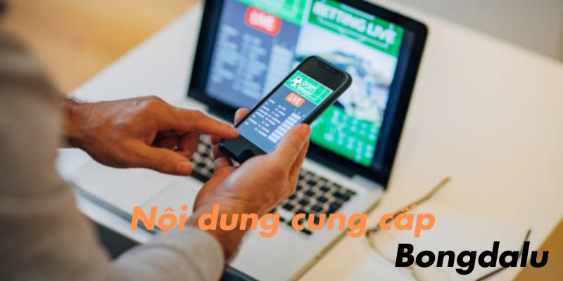 Những nội dung được cung cấp bởi chuyên mục tin tức